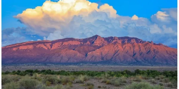 A painting of the desert with mountains in the background.